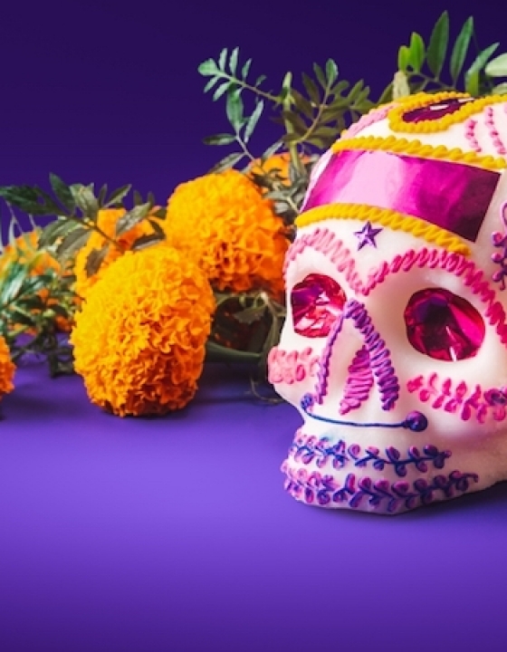 Día de Muertos, all you need to know about this traditional celebration of life!