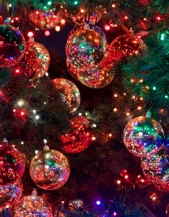 Celebrate Christmas in Punta Mita!