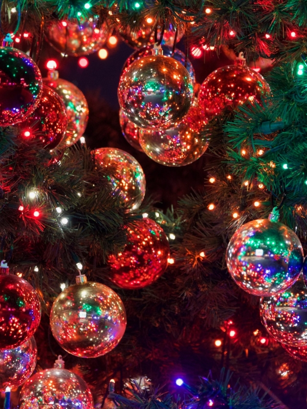 Celebrate Christmas in Punta Mita!