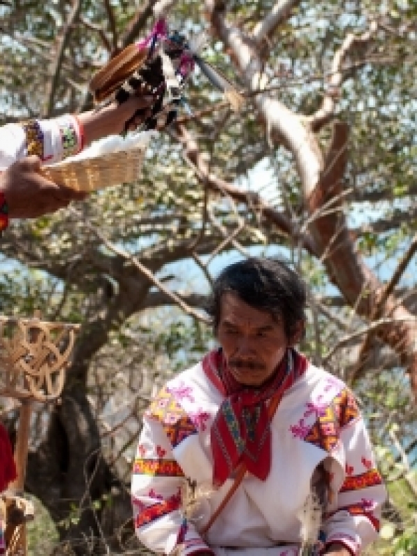 Huichol community, an ancestral culture surviving in a modern world.