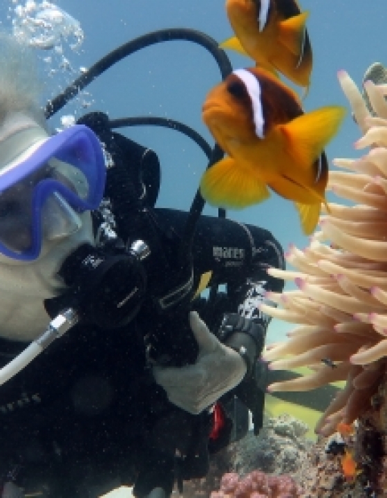 Let’s take a dive and explore the underwater wonders of Punta Mita!