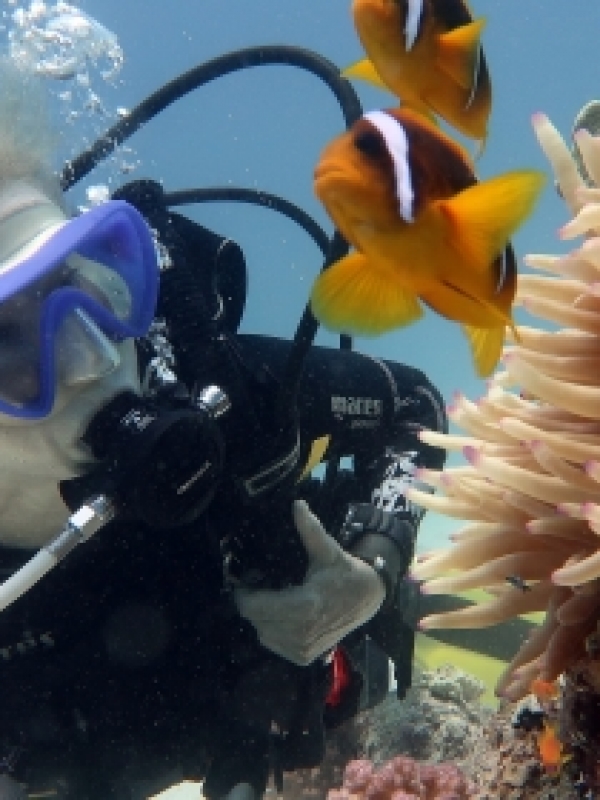 Let’s take a dive and explore the underwater wonders of Punta Mita!