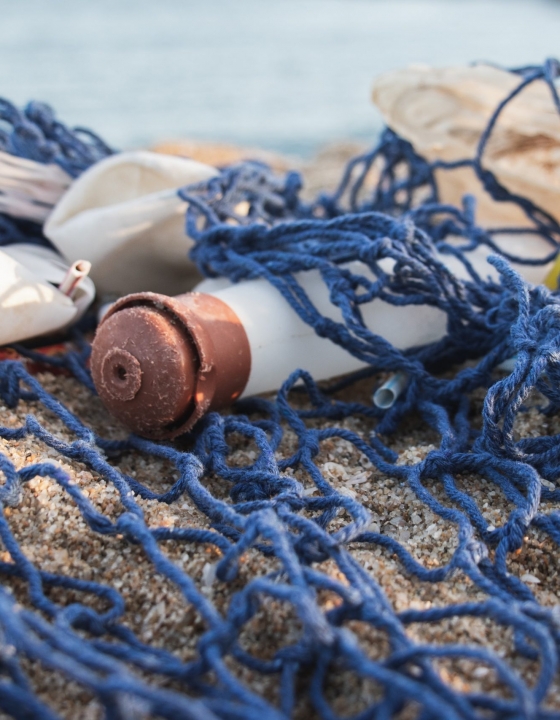 Punta de Mita Beach & Ocean Cleanup – Sat, March 28th